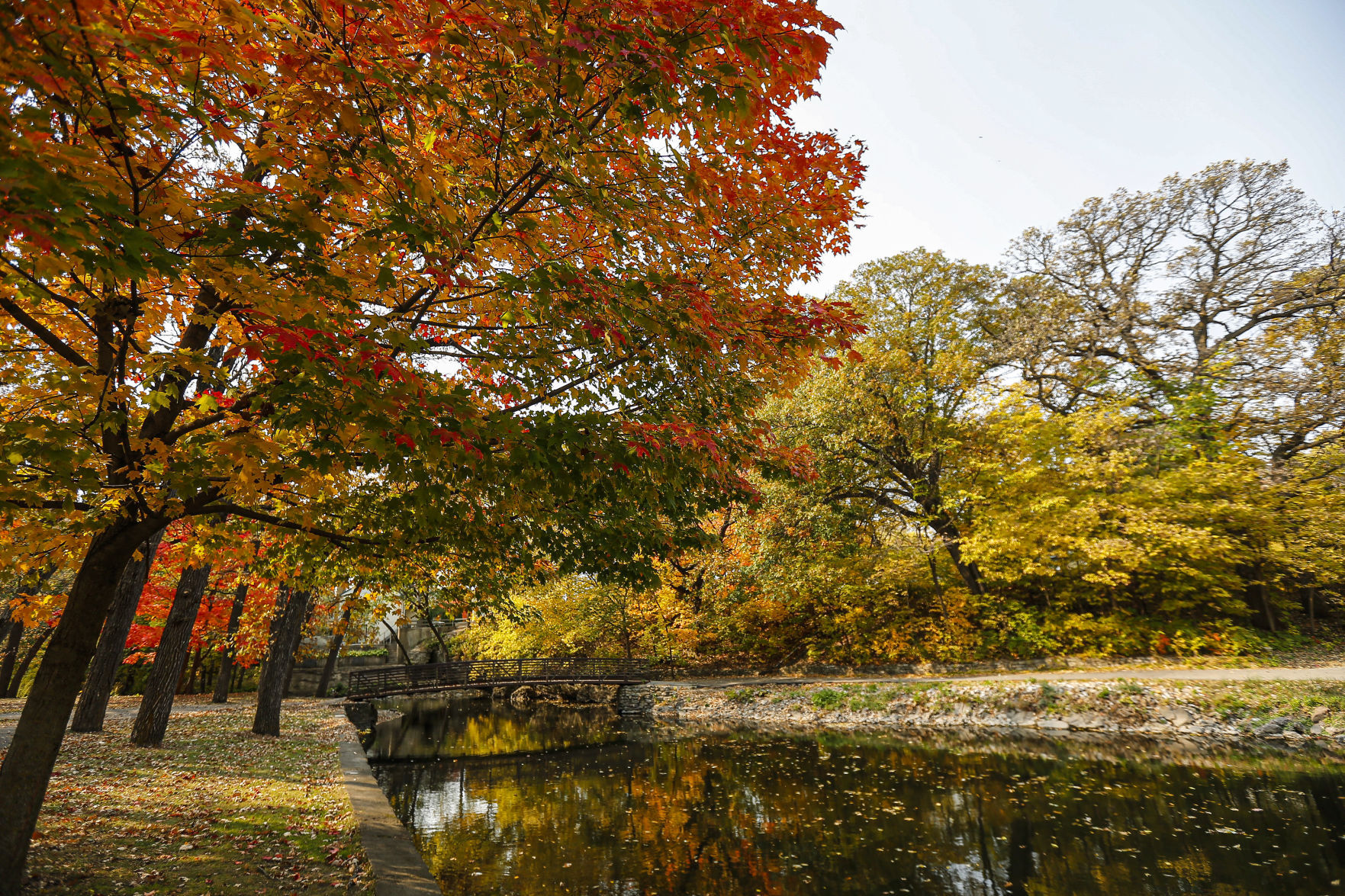 Fall Colors 9